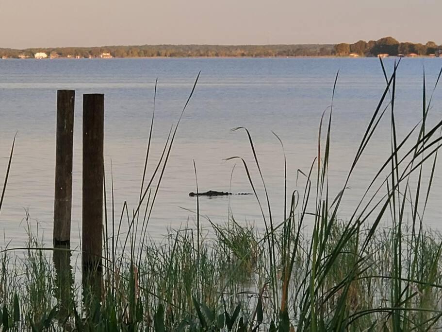 Camp St. Cabanas Unit 2 On Lake Dora Tavares Kültér fotó